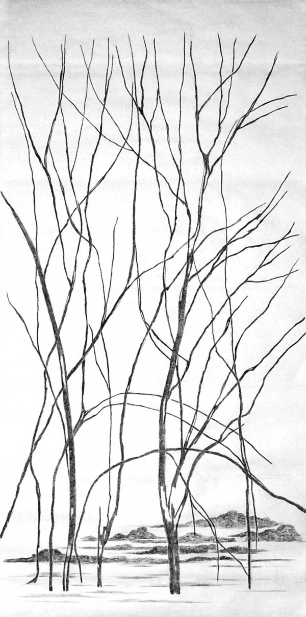Le chant de l’arbre