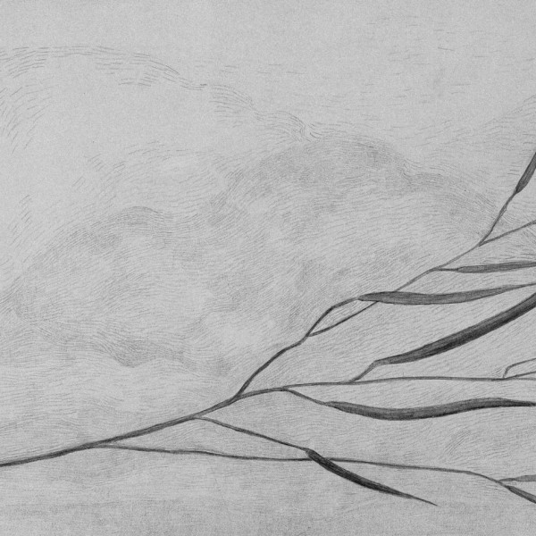 In silence grow