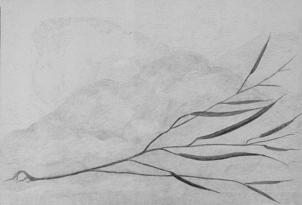 In silence grow