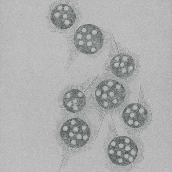 Particles 56 no.1