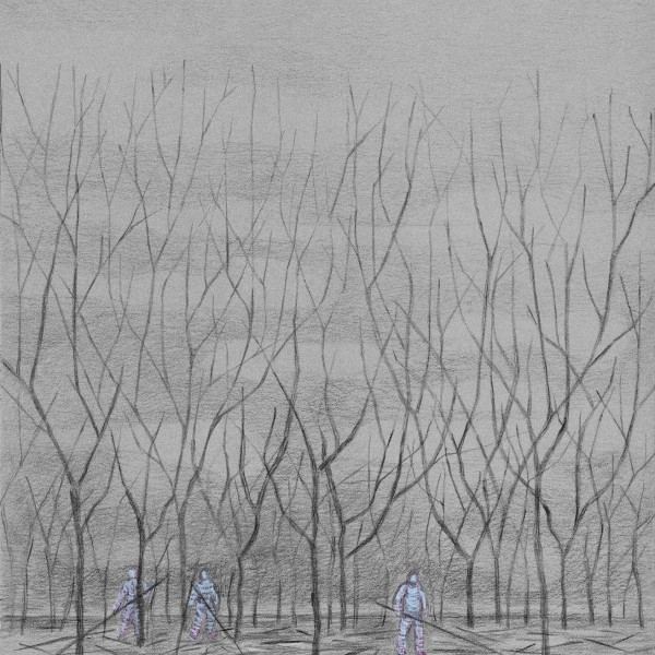 Men, trees