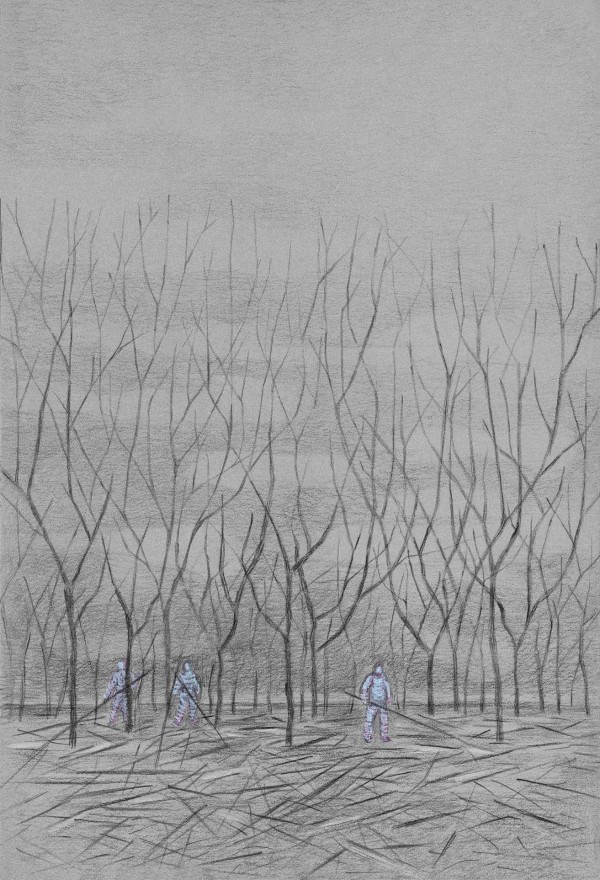 Men, trees