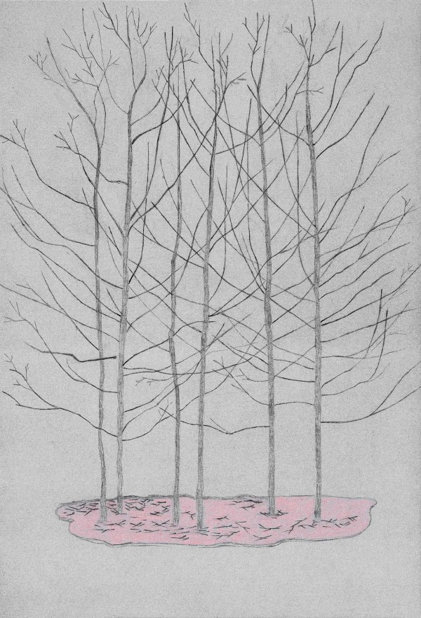 Blue Forest