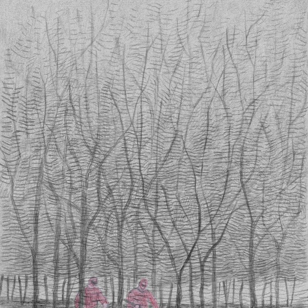 Men, trees