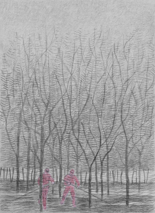 Men, trees