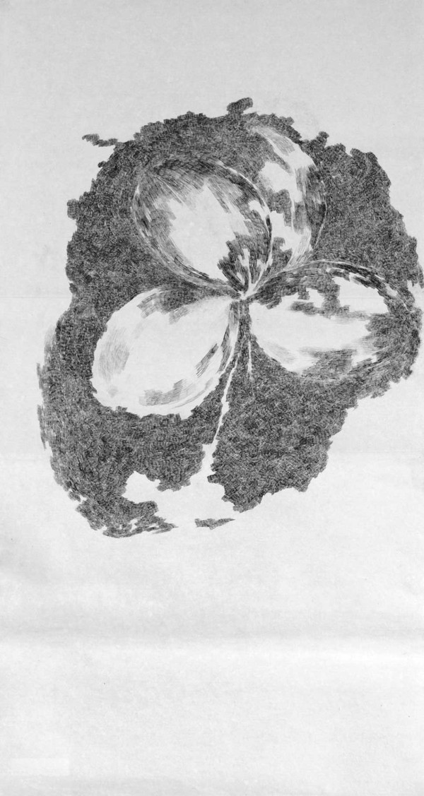Les feuilles du trèfle résistent à l’assaut du noir
